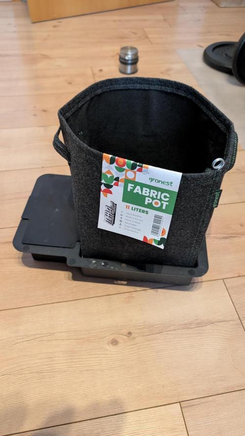 Papaya Cookies Auto. Week 0 - Custom Solution - 11L Gronest fabric pot