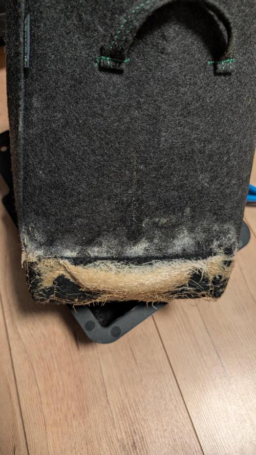 Papaya Cookies Auto. Week 11