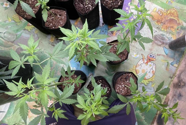 Indoor R1. Week 4