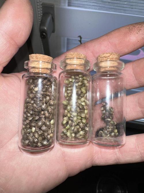 Revive 🧟‍♀️. Week 23