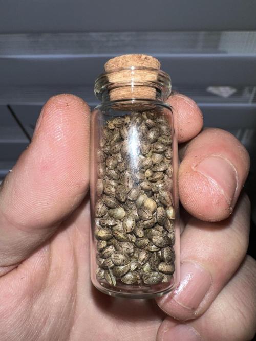 Revive 🧟‍♀️. Week 23