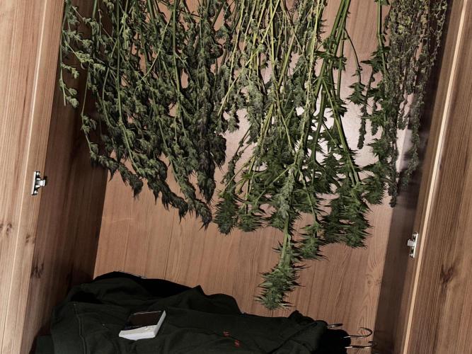 Revive 🧟‍♀️. Week 23