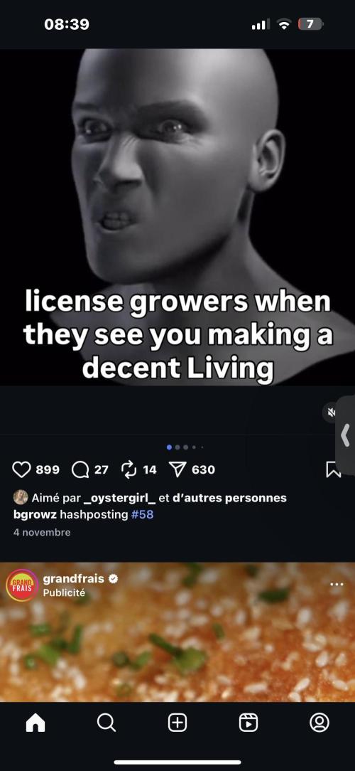 Hard BDSM Lao Highland Tribe Bonsaï. Week 19