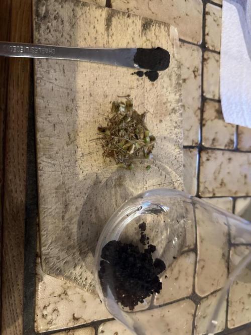 Indigenous Microorganisms. Week 1