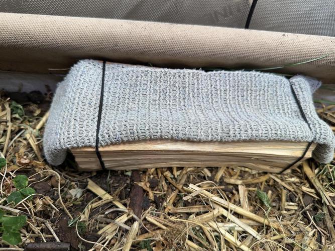 Indigenous Microorganisms. Week 1