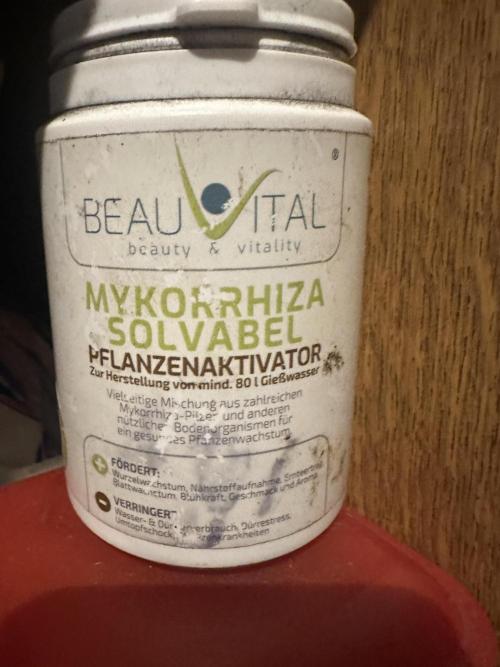 Indigenous Microorganisms. Week 1