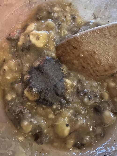 Indigenous Microorganisms. Week 2