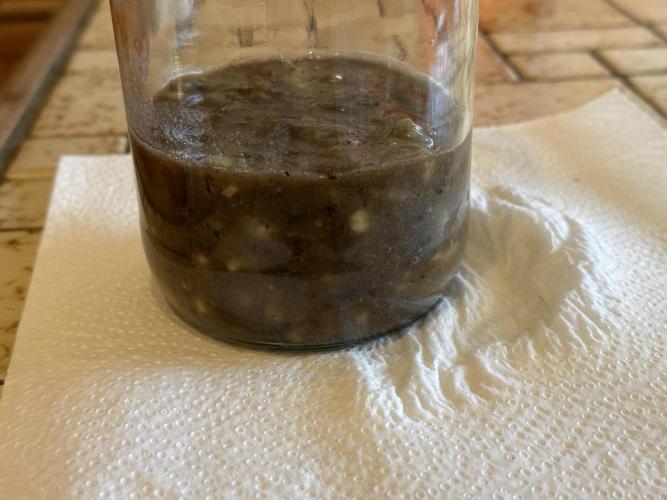 Indigenous Microorganisms. Week 2