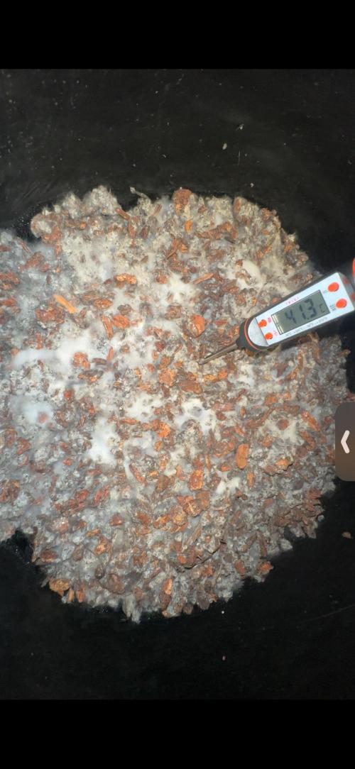 Indigenous Microorganisms. Week 3