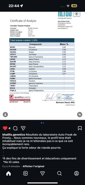 Comment by BrigadeDesTerps photo #2