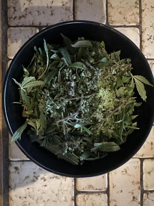 Symmetry boy. Week 16