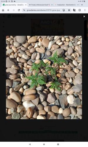 Comment by Itashish photo #2