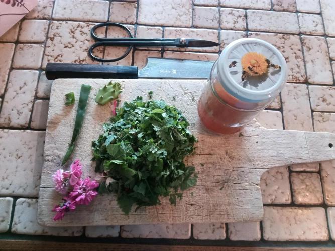 George became Bush (Outdoor Banger). Week 23 - Ferment, ortie, cannabis, fleur de rose, aloe vera, rejet de figuier de barbarie