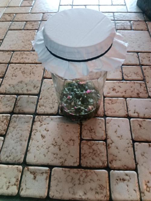 George became Bush (Outdoor Banger). Week 23 - Ferment 