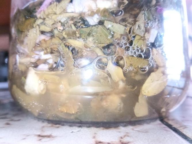 George became Bush (Outdoor Banger). Week 23 - Ferment 