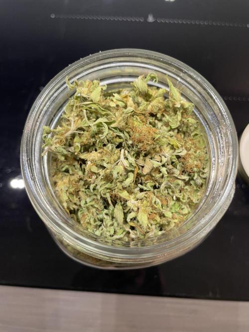 Special Queen #1, Garden Summer 2025. Week 30 - 20251101, dried buds and sugar leaves