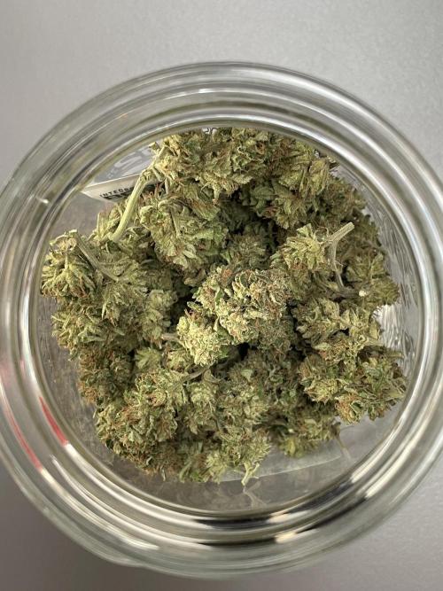 Battle of Systems: Chocolate Wafflez. Week 26 - 20251122, Team Airpot, Premium Buds