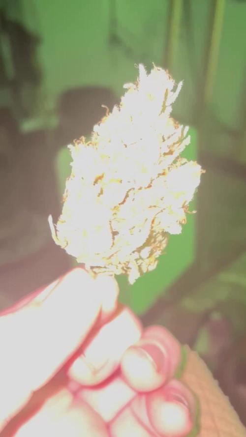 Pound Cake Auto FB