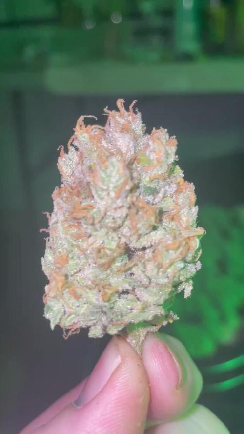 Pound Cake Auto FB