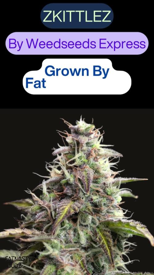 Zkittlez 
