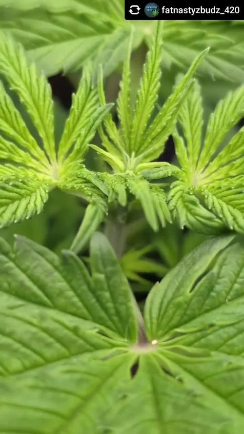 Papayton adventures in photos