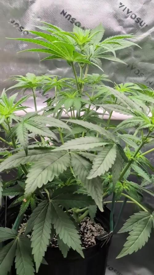 Papayton adventures in photos