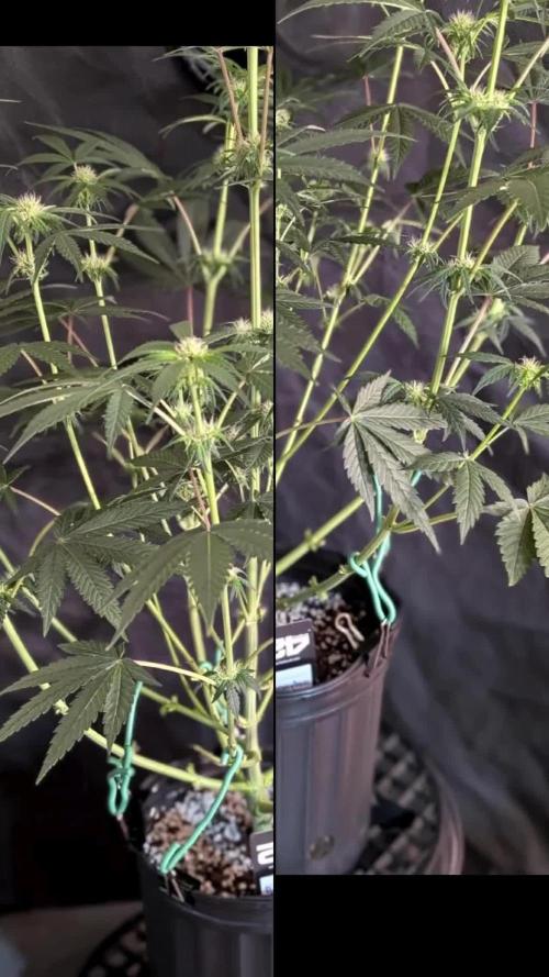 Papayton adventures in photos