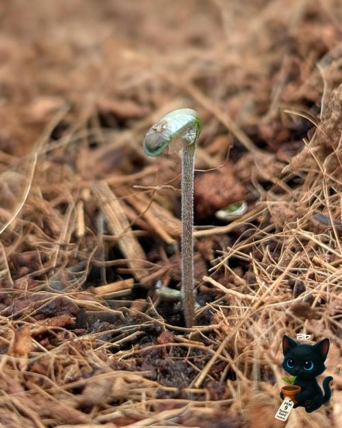 FEM 9 Photo Tester - Catlife420. Week 1 - 10-26
Day 2