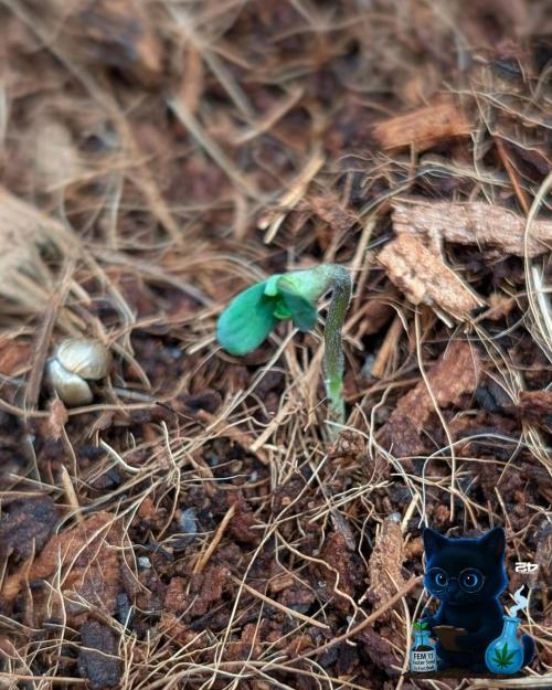 FEM 11 Photo Tester - Catlife420. Week 1 - 10-26
Day 2