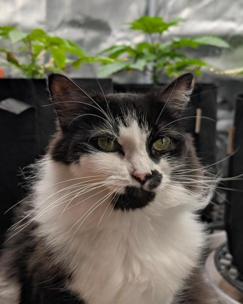 FEM 9 Photo Tester - Catlife420. Week 4 - 11-18
Day 25
Lana