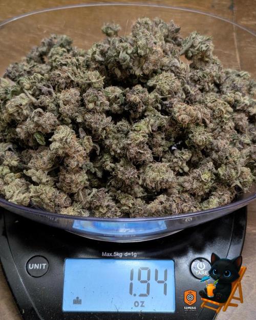 Clementine Slush - Catlife420. Week 19 - 11/19
Dried for 9 Days