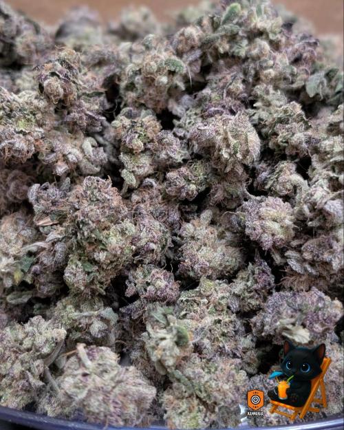 Clementine Slush - Catlife420. Week 19 - 11/19
Dried for 9 Days