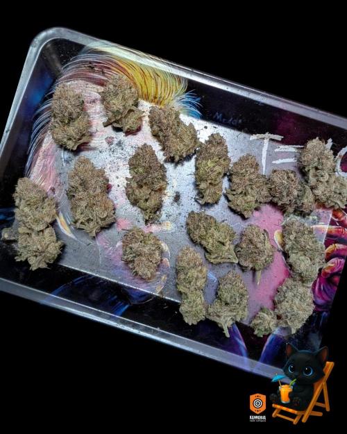 Clementine Slush - Catlife420. Week 19 - 11/19
Dried for 9 Days