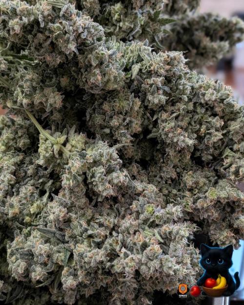 Twinning with Apples and Bananas. Week 18