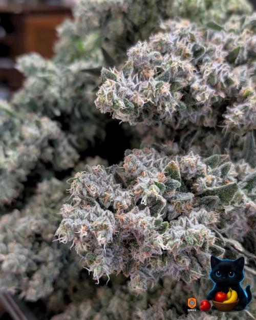 Twinning with Apples and Bananas. Week 18