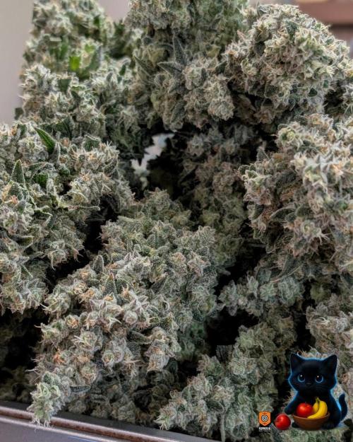 Twinning with Apples and Bananas. Week 18