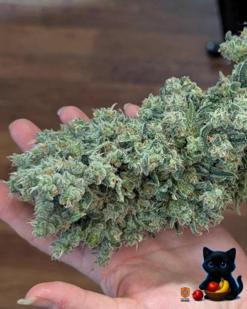 Twinning with Apples and Bananas. Week 18