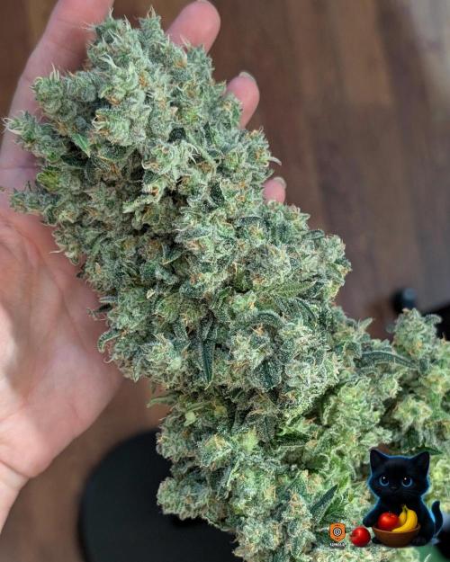 Twinning with Apples and Bananas. Week 18