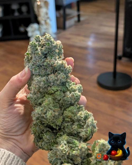 Twinning with Apples and Bananas. Week 18