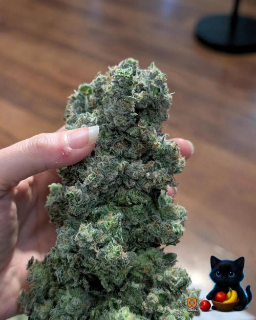 Twinning with Apples and Bananas. Week 18