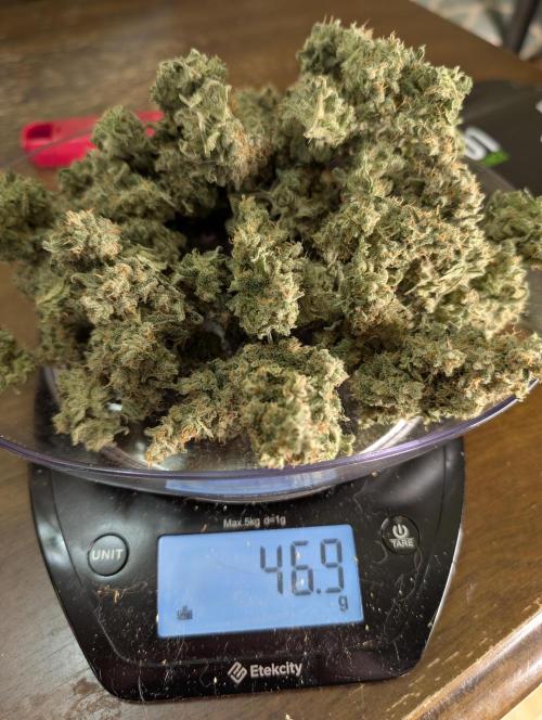 Twinning with Apples and Bananas. Week 18