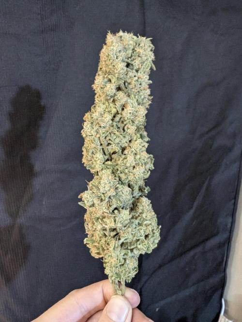 Twinning with Apples and Bananas. Week 18