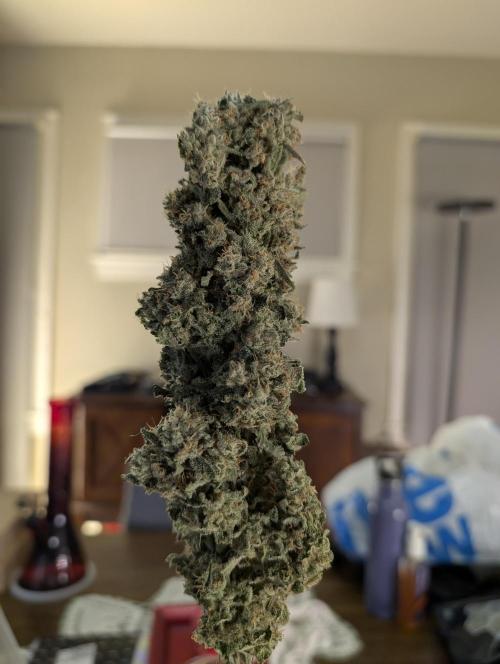 Twinning with Apples and Bananas. Week 18