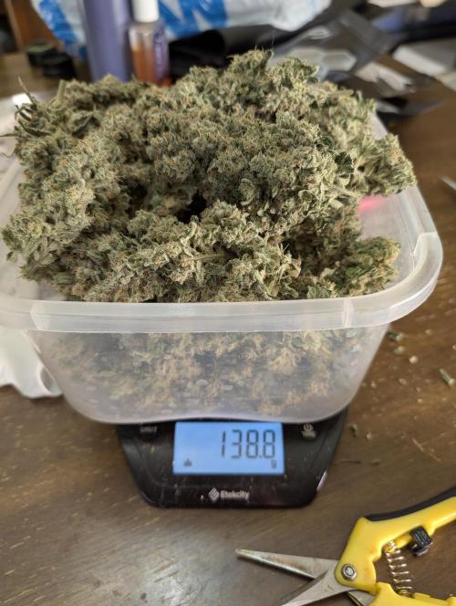 Twinning with Apples and Bananas. Week 18