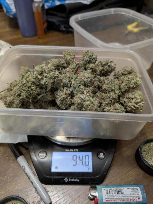 Sunset Sherb Go Fast. Week 13