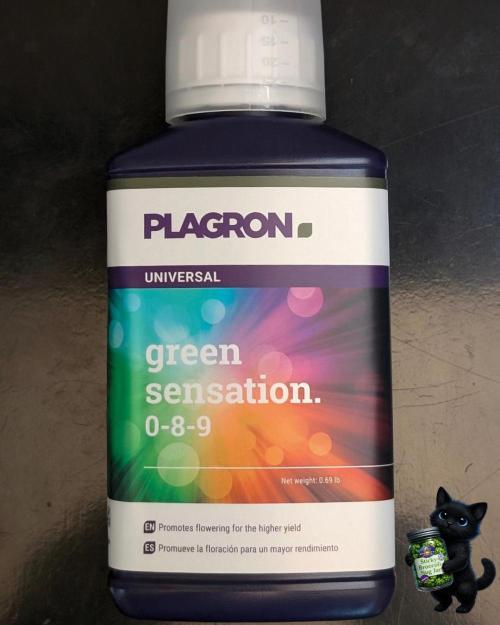 Eternity 2026. Week 0