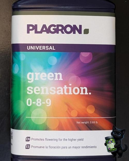 Eternity 2026. Week 0