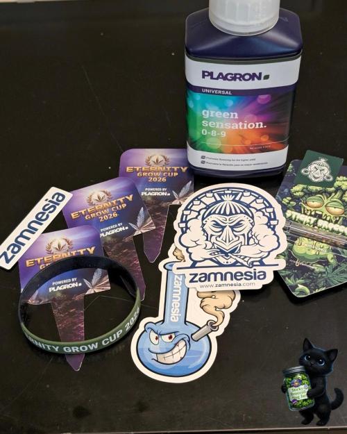 Eternity 2026. Week 0