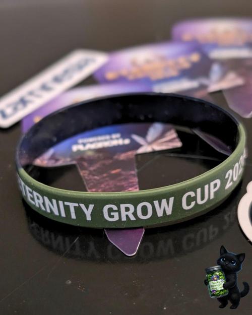 Eternity 2026. Week 0