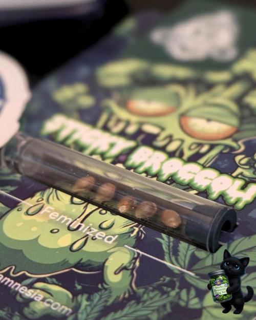 Eternity 2026. Week 0